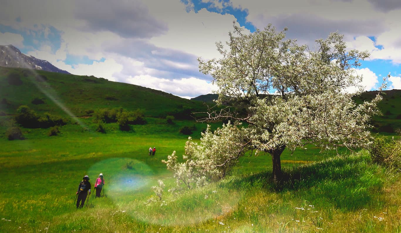 Transcaucasian Trail Armenia