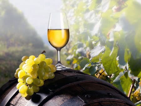 Winemaking in Armenia